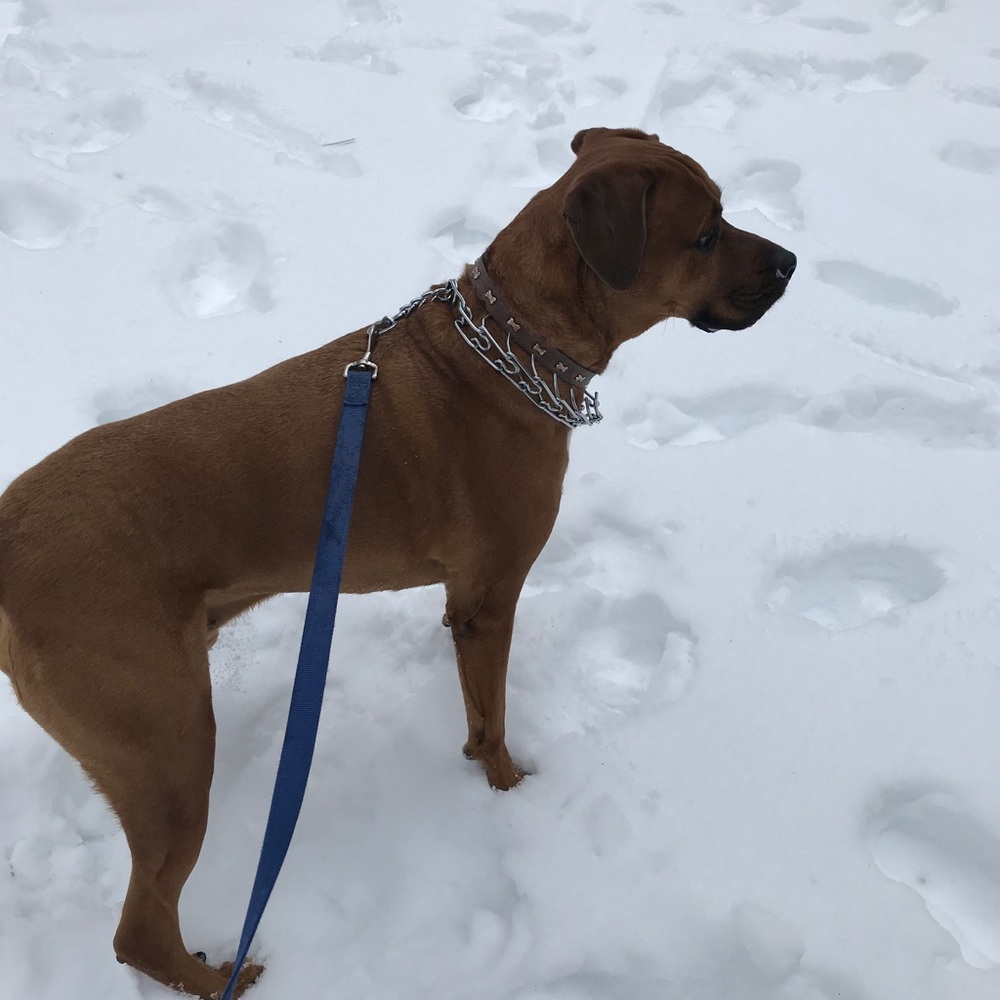 Meet your Posher, Kathleen